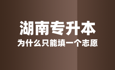 湖南專升本為什么只能填一個志愿？